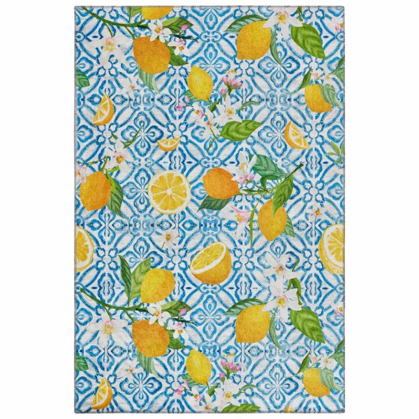 Kaşmir Halı Dekoratif Art Mutfak Lemon 80x300 cm